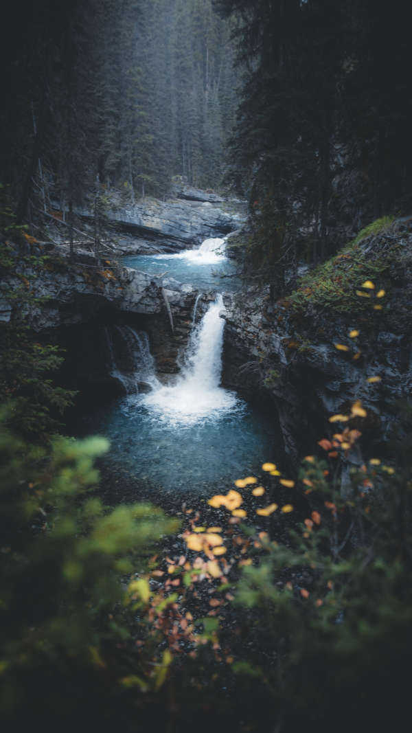 Canadian Rockies gallery