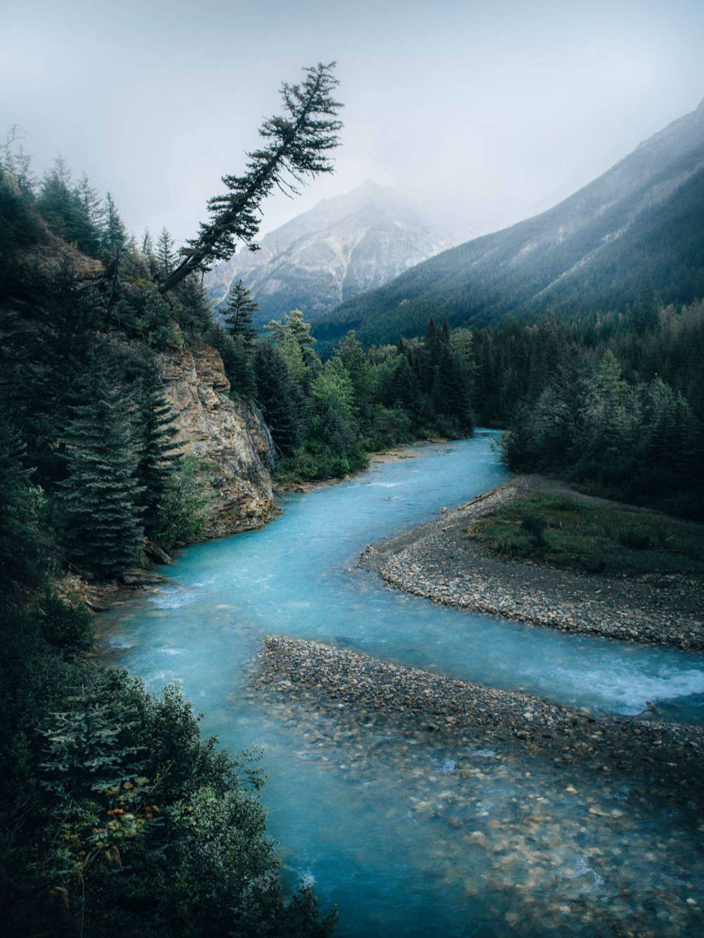 Canadian Rockies gallery