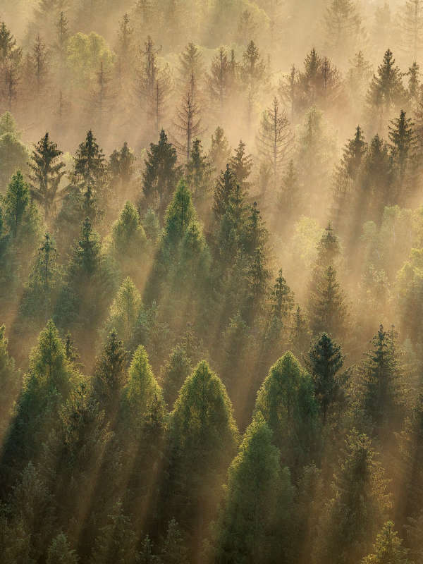Elbe Sandstone Mountains gallery