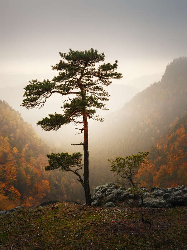Elbe Sandstone Mountains gallery
