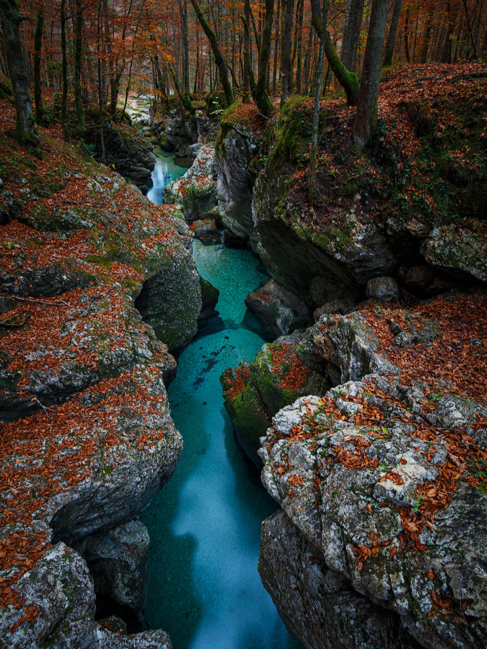 Slovenia gallery