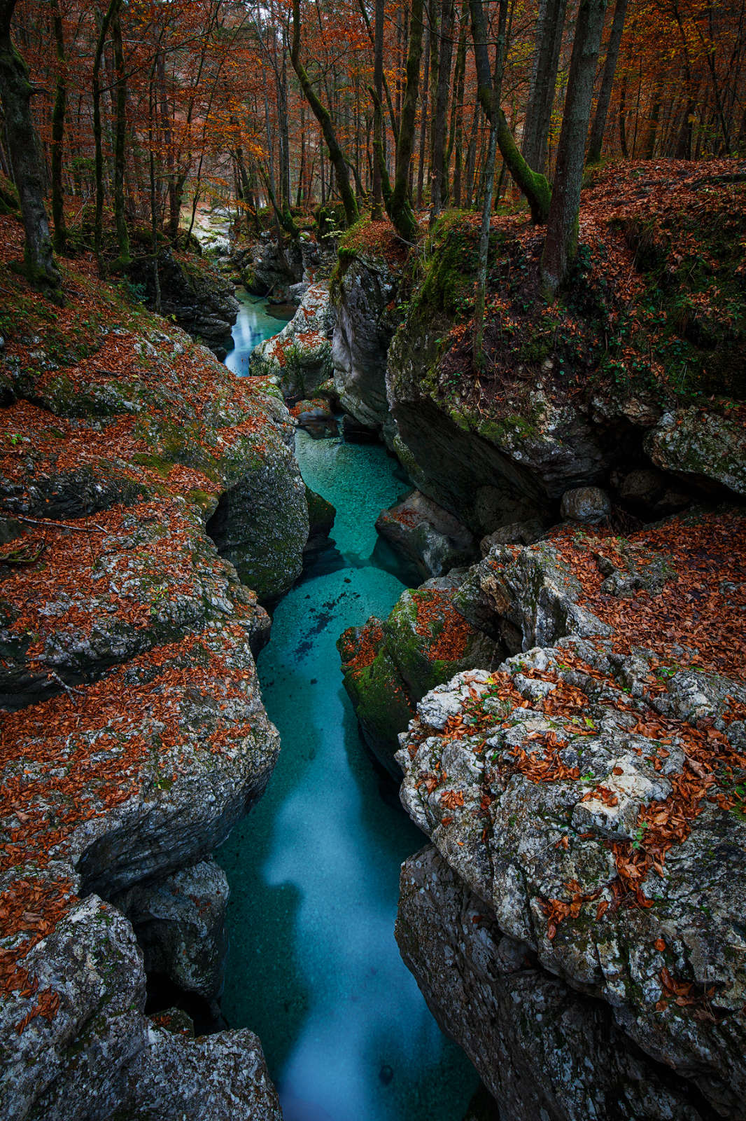 Kozjak Waterfall and Tolminka River Gorge