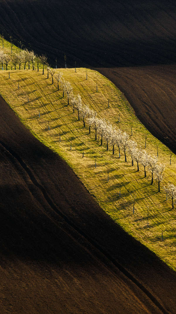 South Moravia gallery
