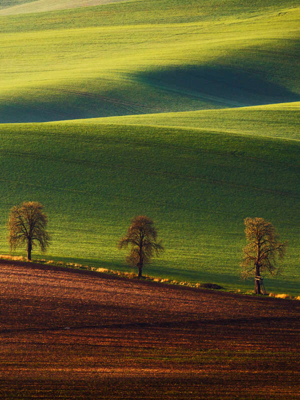 South Moravia gallery