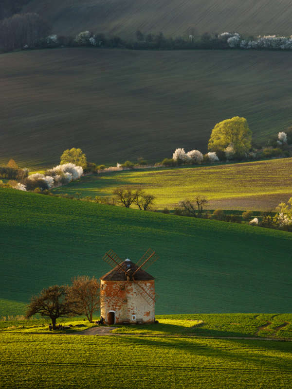 South Moravia gallery