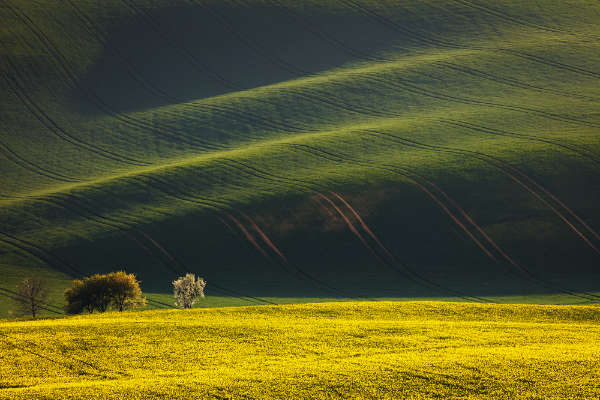 South Moravia gallery