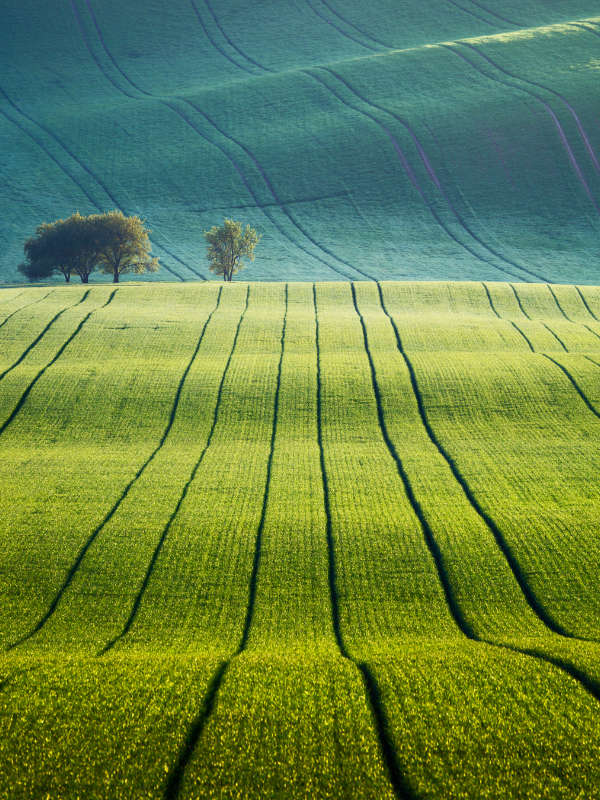 4 Day South Moravia Spring Photo Tour 2024