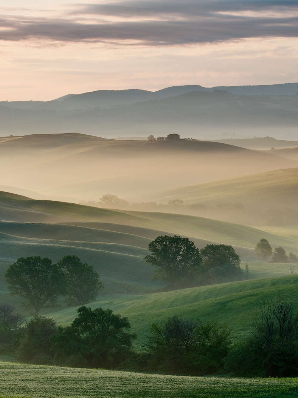 Tuscany gallery