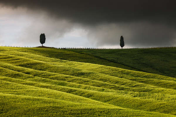 Tuscany gallery