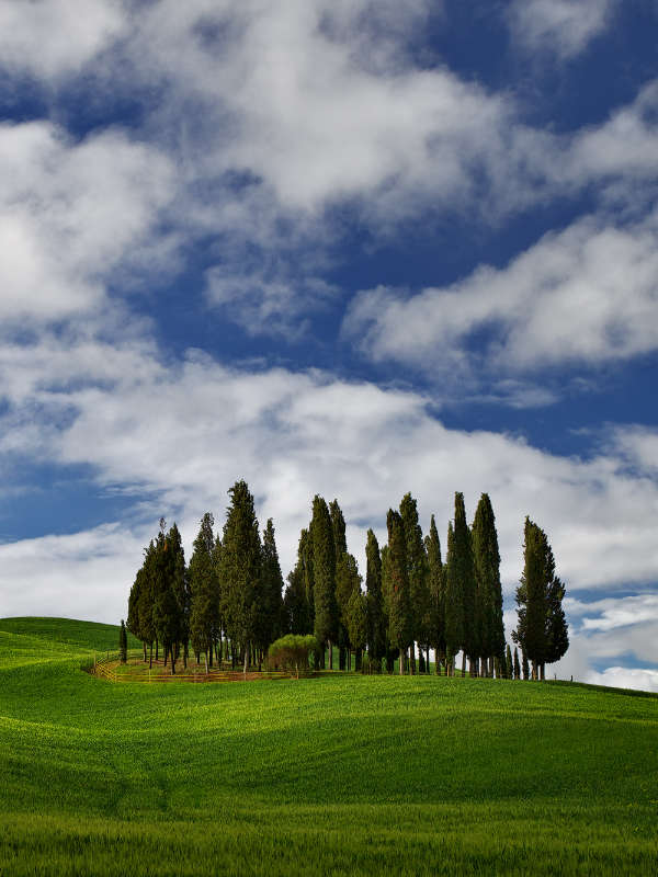 Tuscany gallery