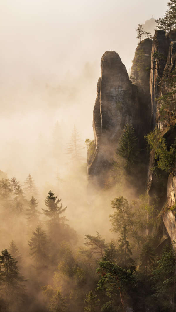 Martin Rak gallery