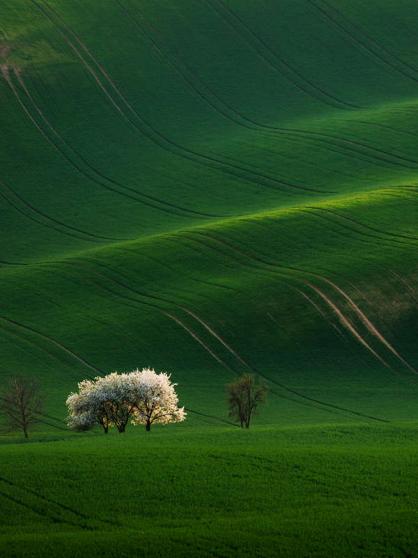 Martin Rak gallery