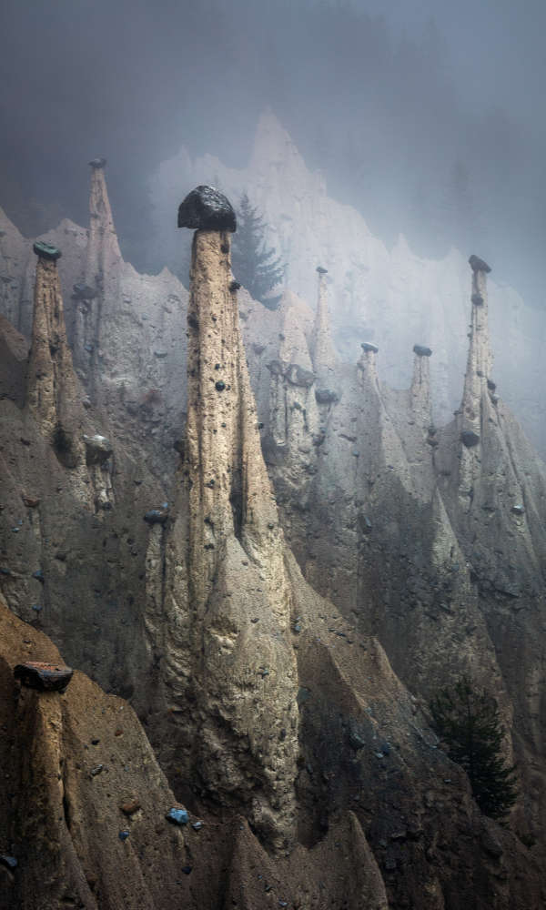 Martin Rak gallery