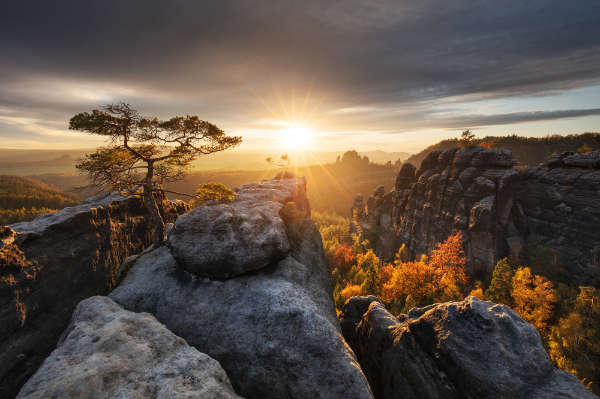 Martin Rak gallery