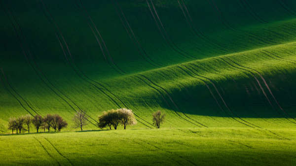 Martin Rak gallery