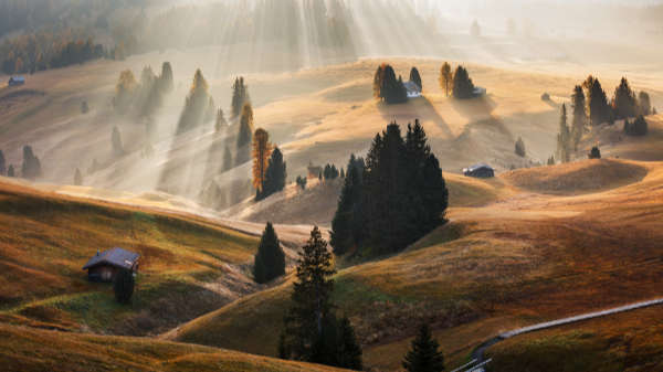 Martin Rak gallery